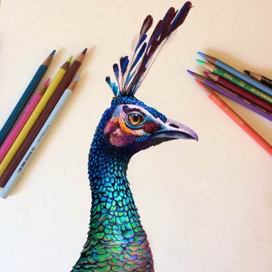 Hyper-realistic colored pencil portraits by Morgan Davidson | Partfaliaz