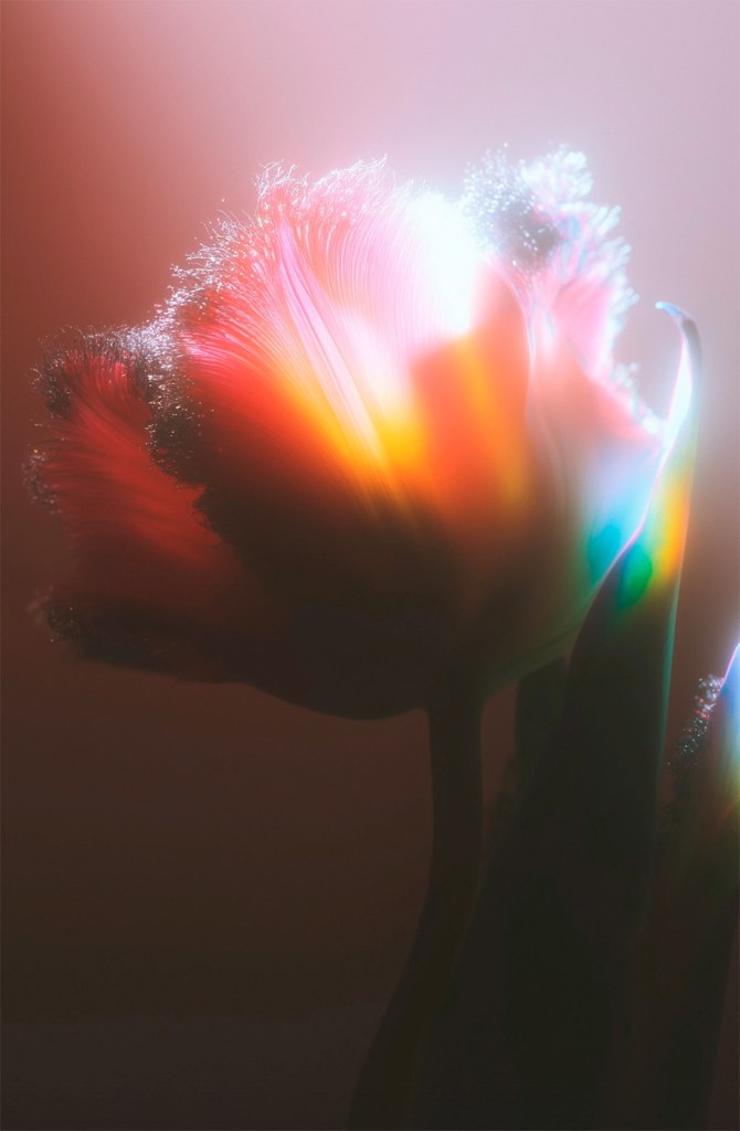 How aoRND Uses Generative AI to Explore Light, Youth, and Digital Emotion