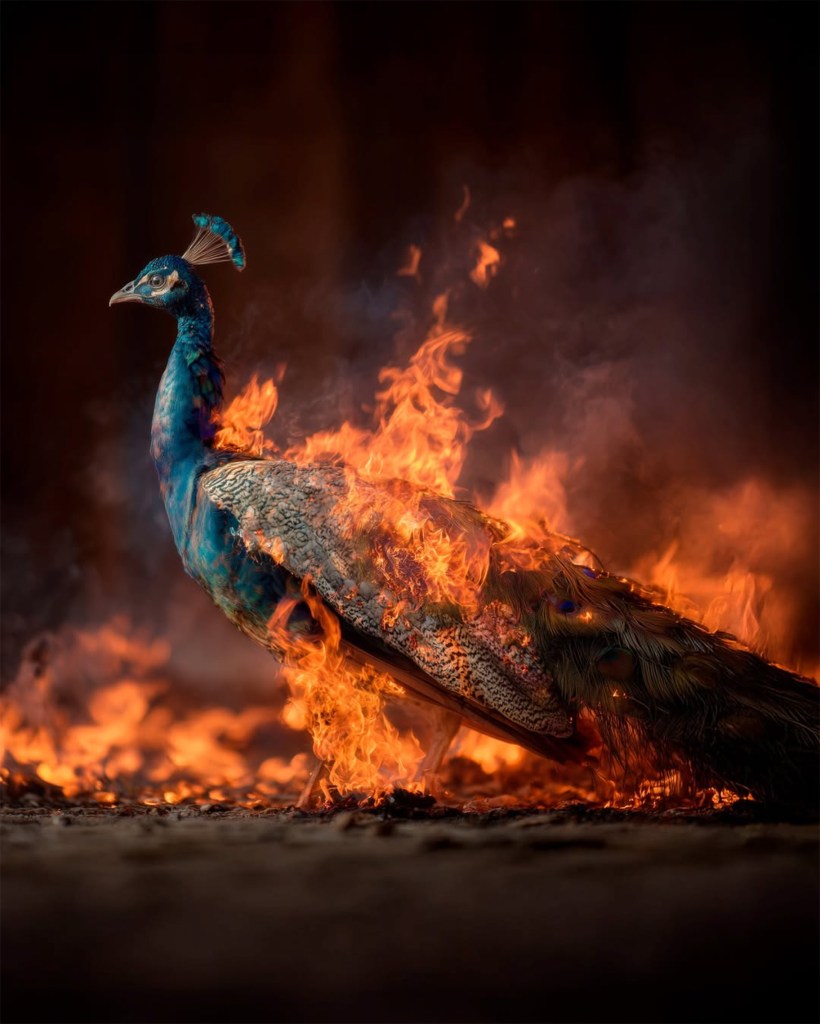 Art, technology, and soul: a short interview with Jon Gesalaga