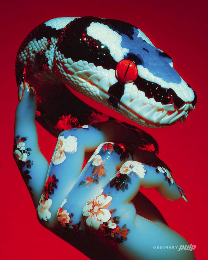 Vintage Vibes, Modern Edge: The ordinary.pulp Phenomenon