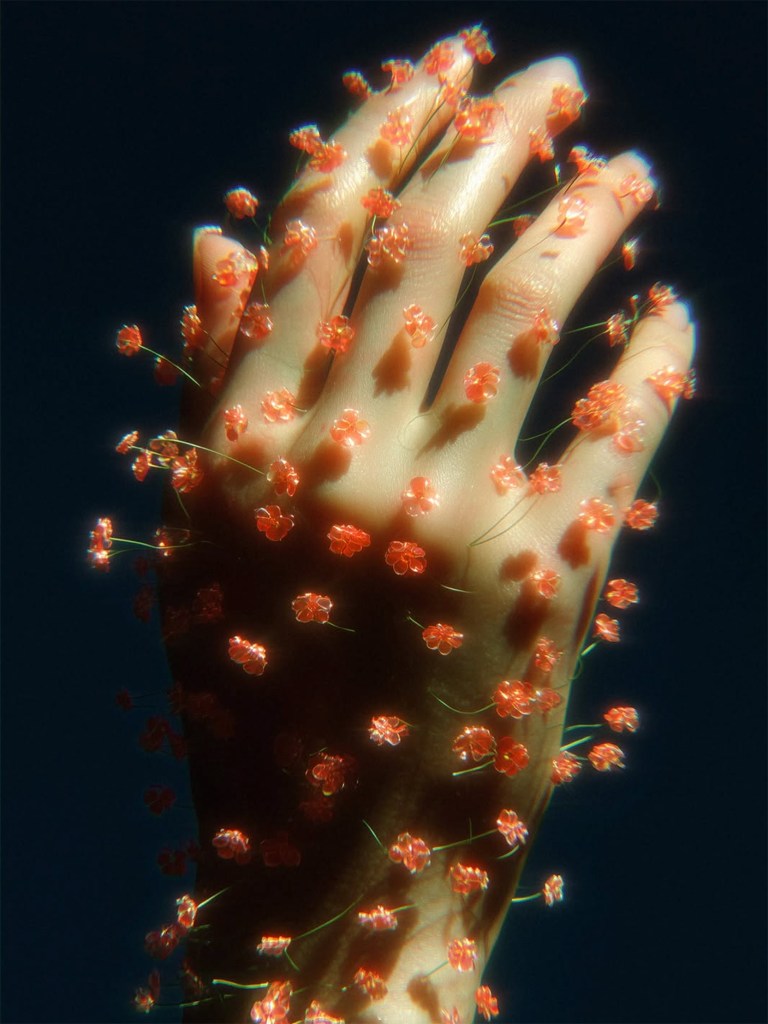 When Nature Meets Algorithm: The Refined Vision of Carole Arbenz